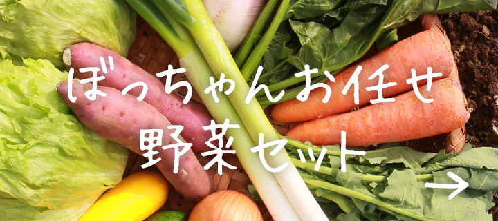 ぼっちゃんお任せ 野菜セット