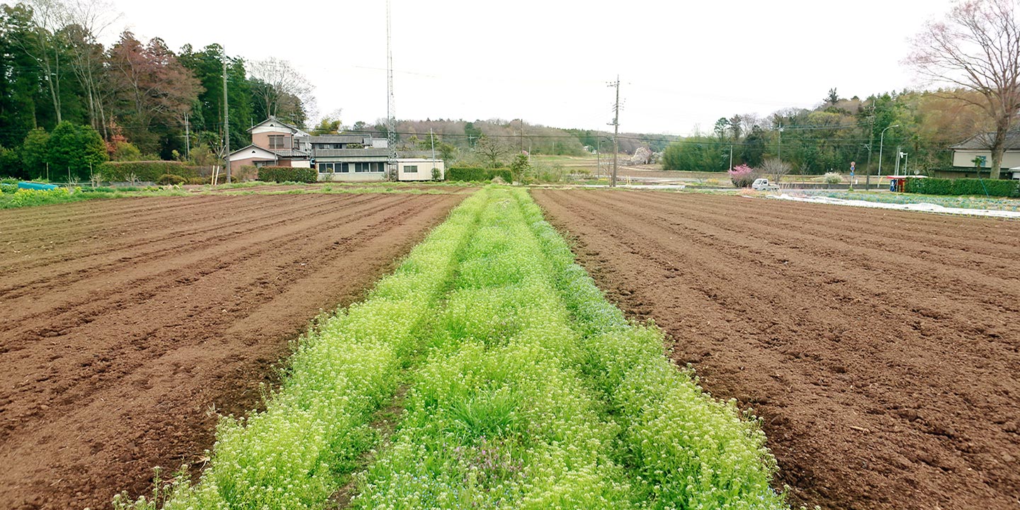 滑川ぼっちゃん農園の風景